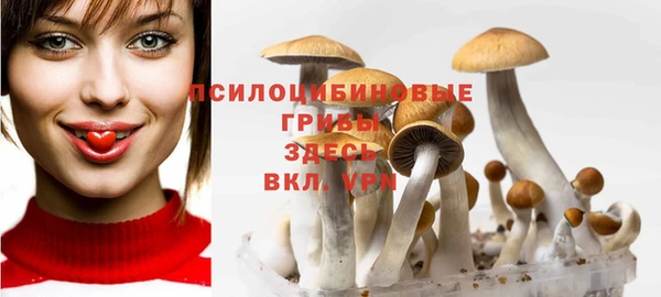ALPHA PVP Богородицк