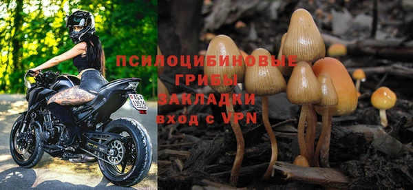 ALPHA PVP Богородицк
