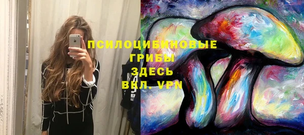 ALPHA PVP Богородицк