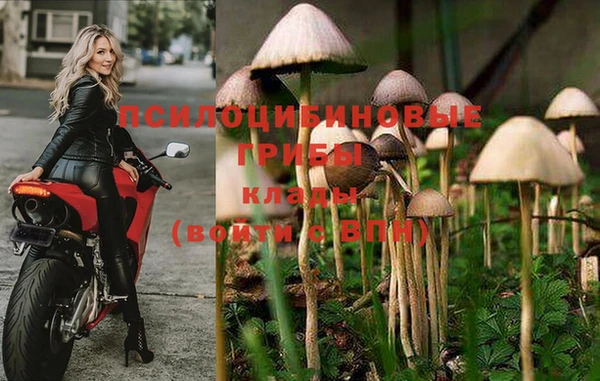 ALPHA PVP Богородицк